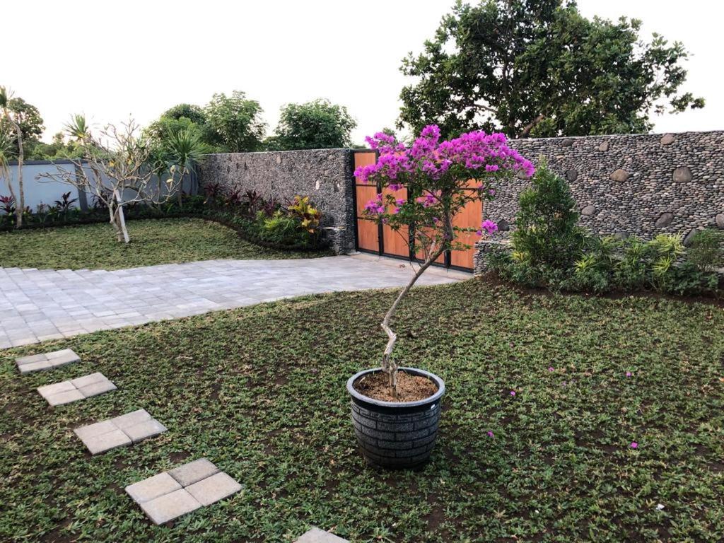 Villa Rosa East Bali Karangasem  Exterior photo