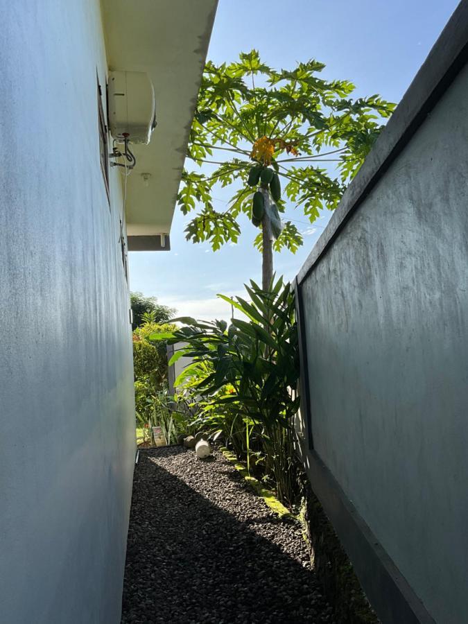 Villa Rosa East Bali Karangasem  Exterior photo